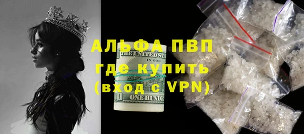 прущие грибы Алзамай