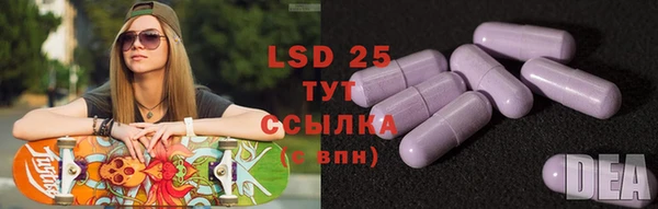 прущие грибы Алзамай