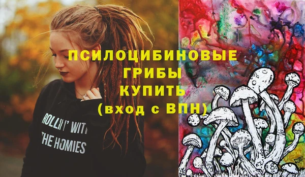 прущие грибы Алзамай